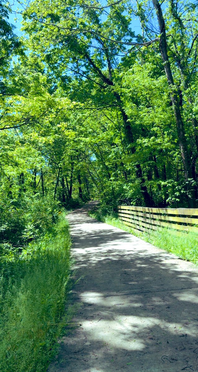 Views and Travel tweet media