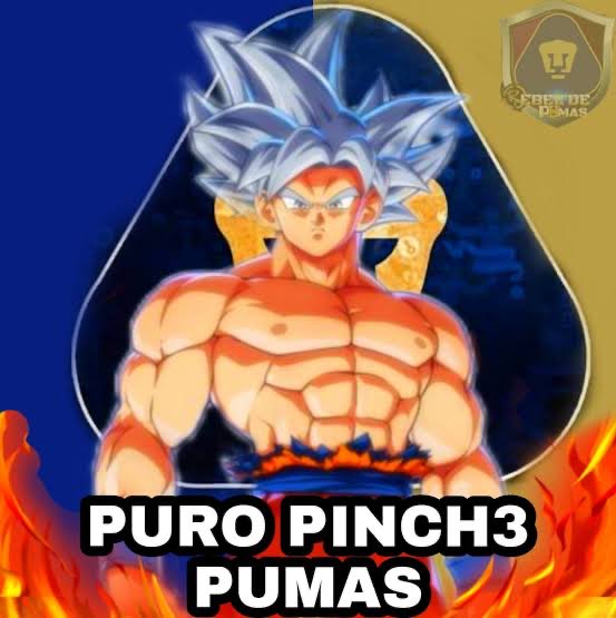 sad bunny tweet media