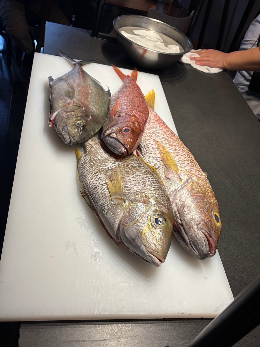 けんぞー tweet media