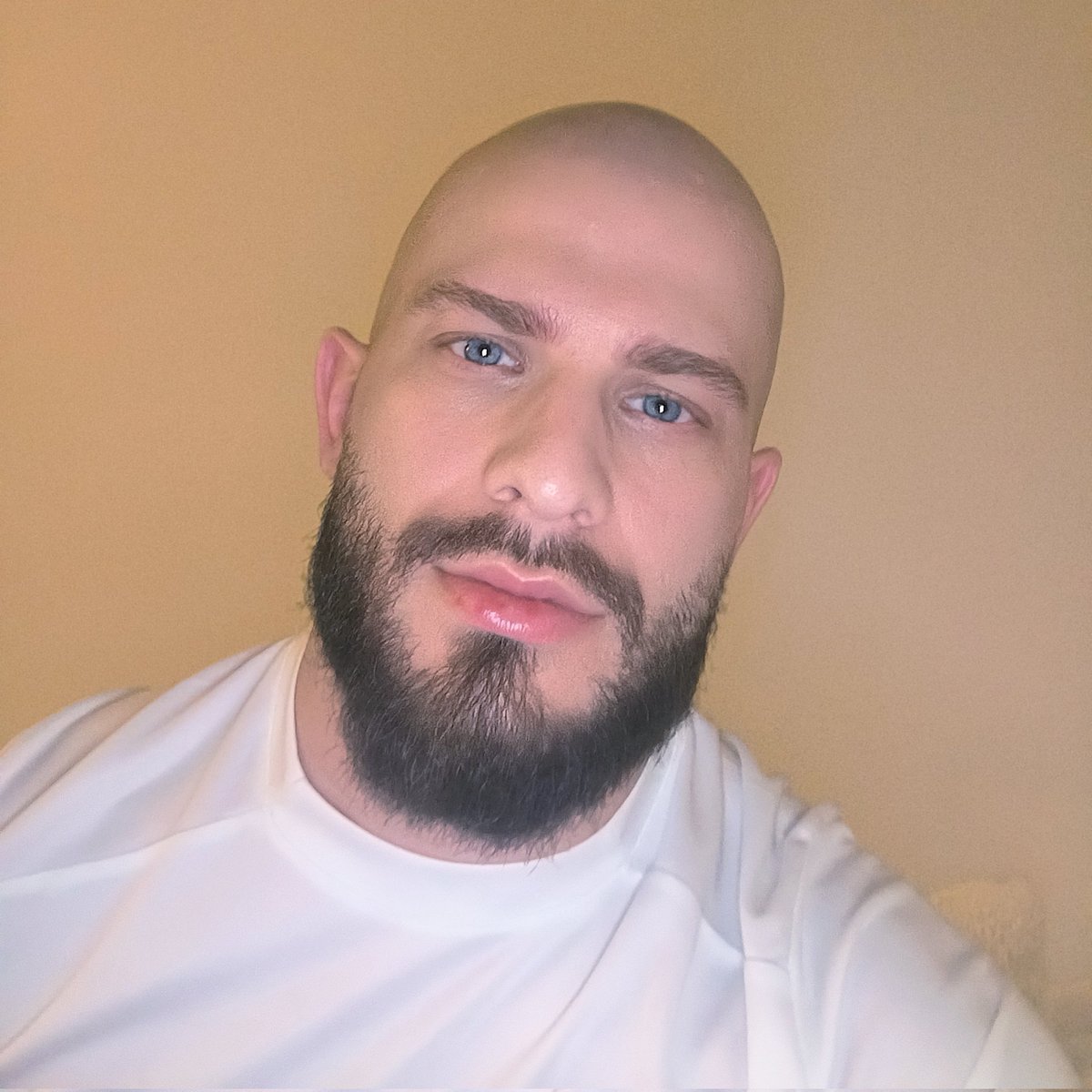 @Personne_public tweet media