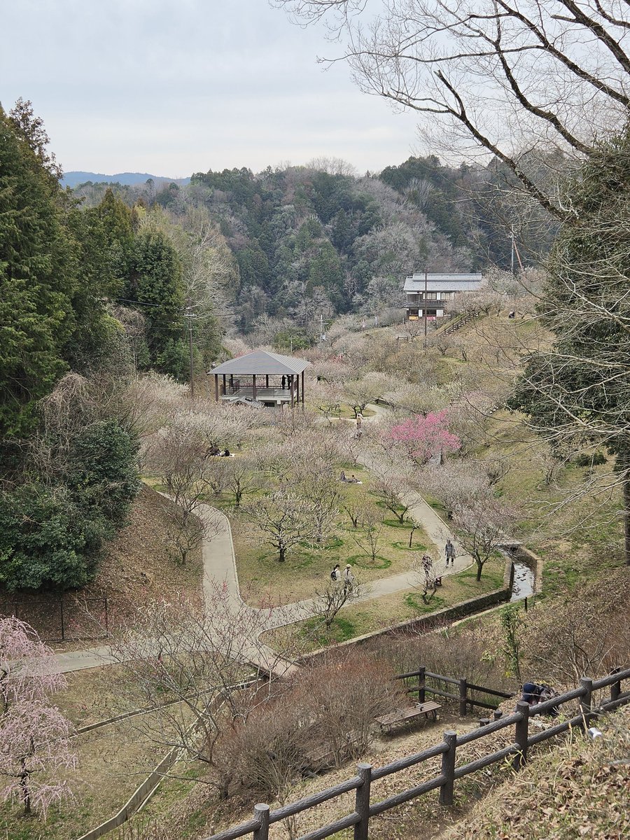 カティス tweet media