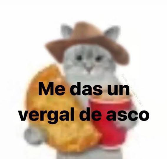 𝕄𝕚𝕩𝕥𝕝𝕚 tweet media