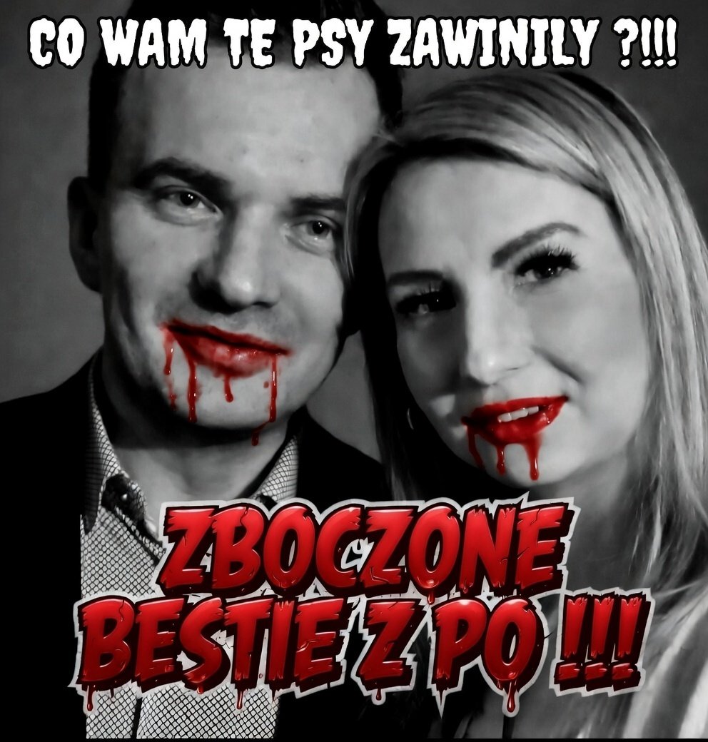 🇵🇱 MARCIN EDO tweet media
