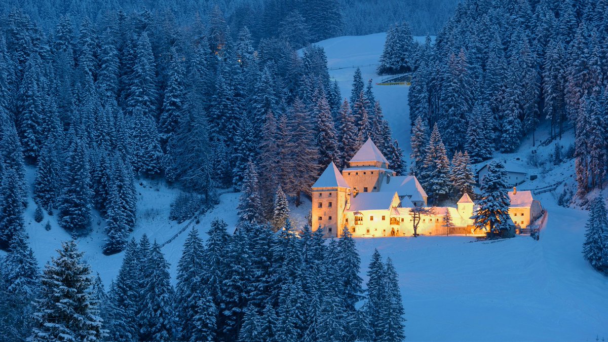 °Hikarian®。 tweet media