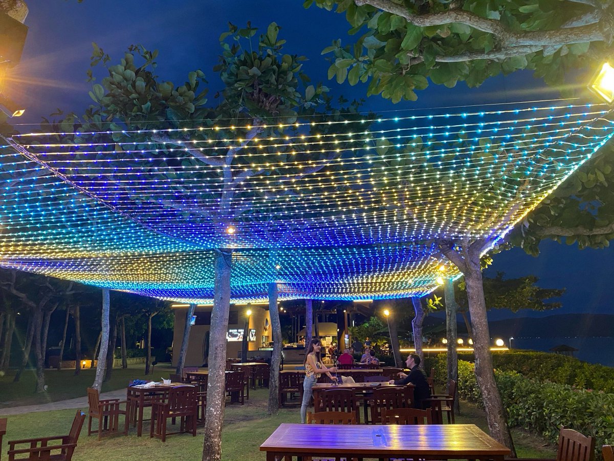 Tina Pearson tweet media