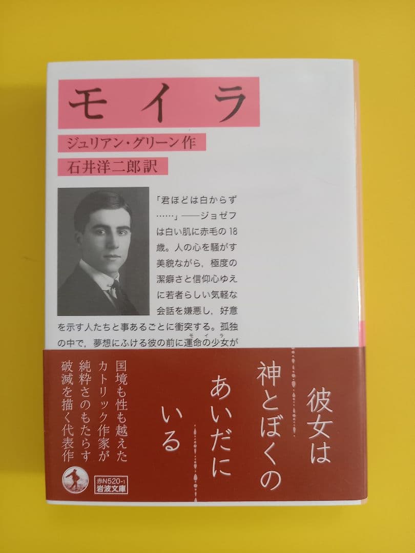 maeda5656's tweet photo. 【#モイラ】

狂信者の話は、たいてい面白い。
聖書を崇拝し、過剰なまでに肉体的な物事を嫌悪する青年。
一方で彼の内には、彼自身の燃える赤毛のような情念が渦巻いていて…

運命の女でありながら、ほとんど実像が見えてこないモイラ。彼女の内にある悲しみが垣間見える手紙のシーンが印象的

#読了 https://t.co/dLmSG7GBom