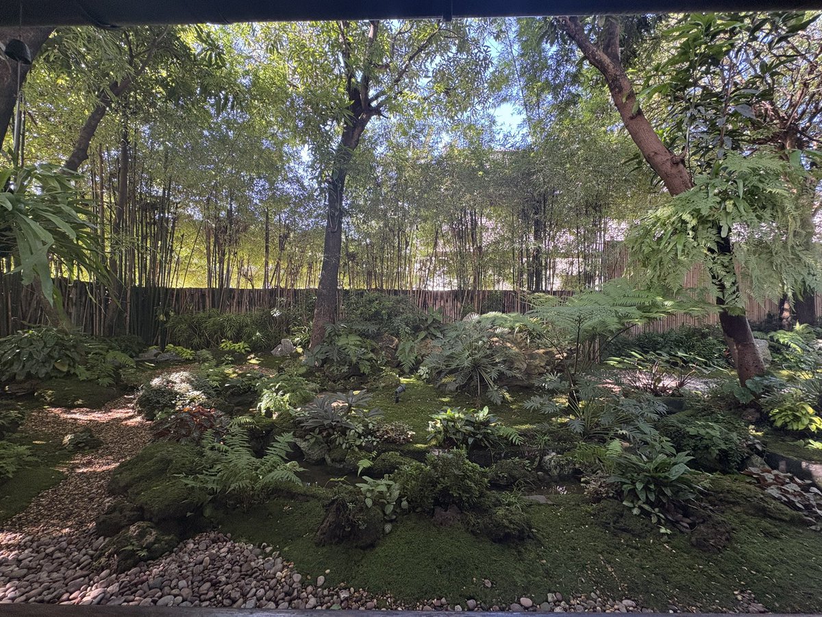 I wonder how ? tweet media