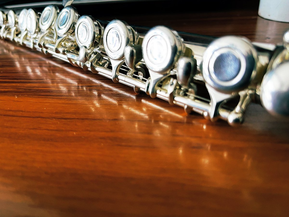 blight12269's tweet photo. flute
Let's get started with training https://t.co/uQiZwTRYaU