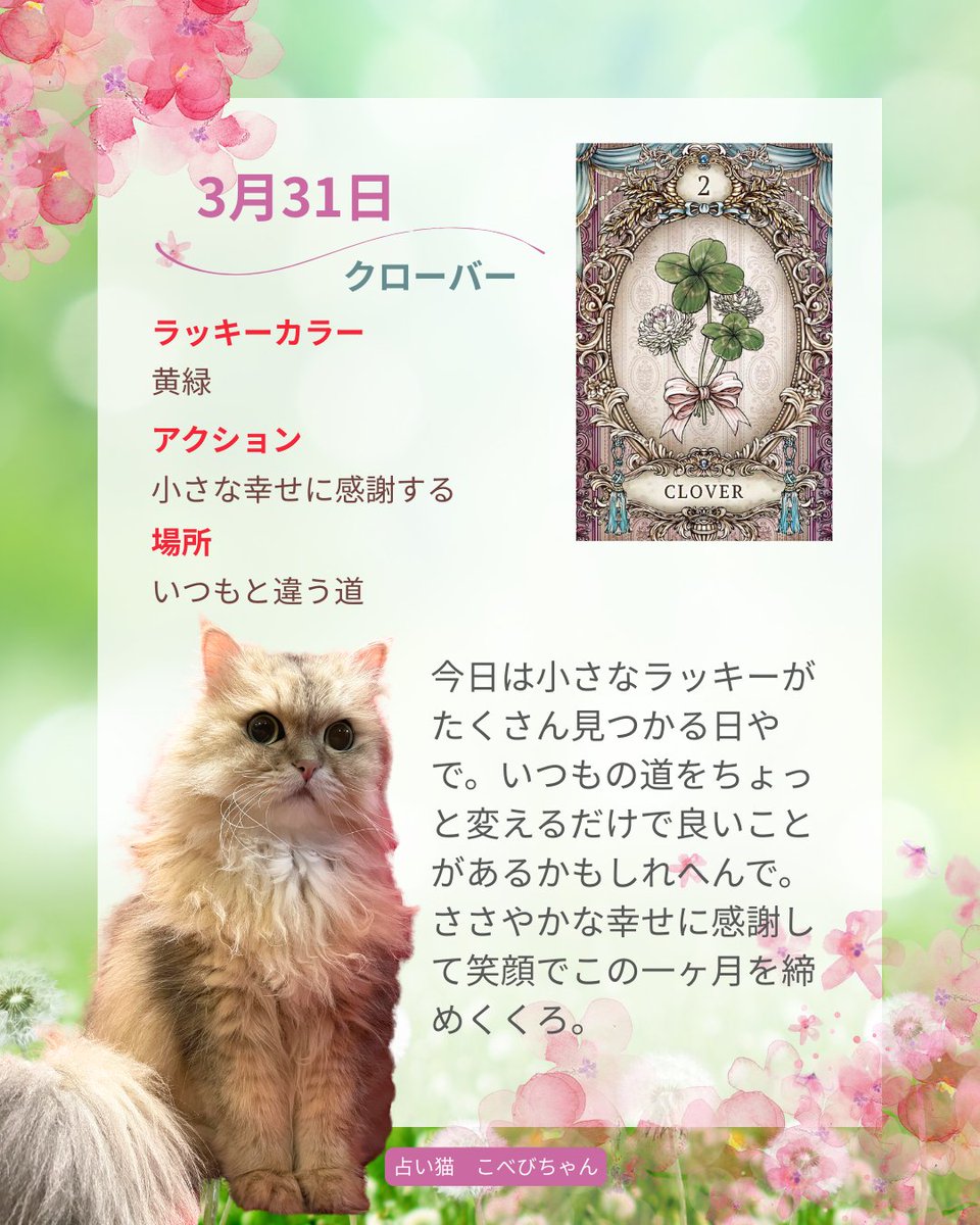 桜野カレン tweet media