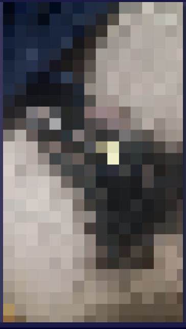 loner virgin incell tweet media