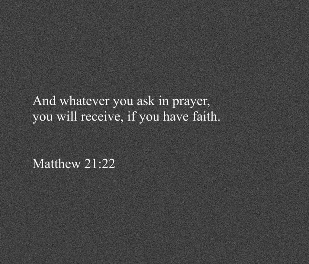 Holy Bible tweet media