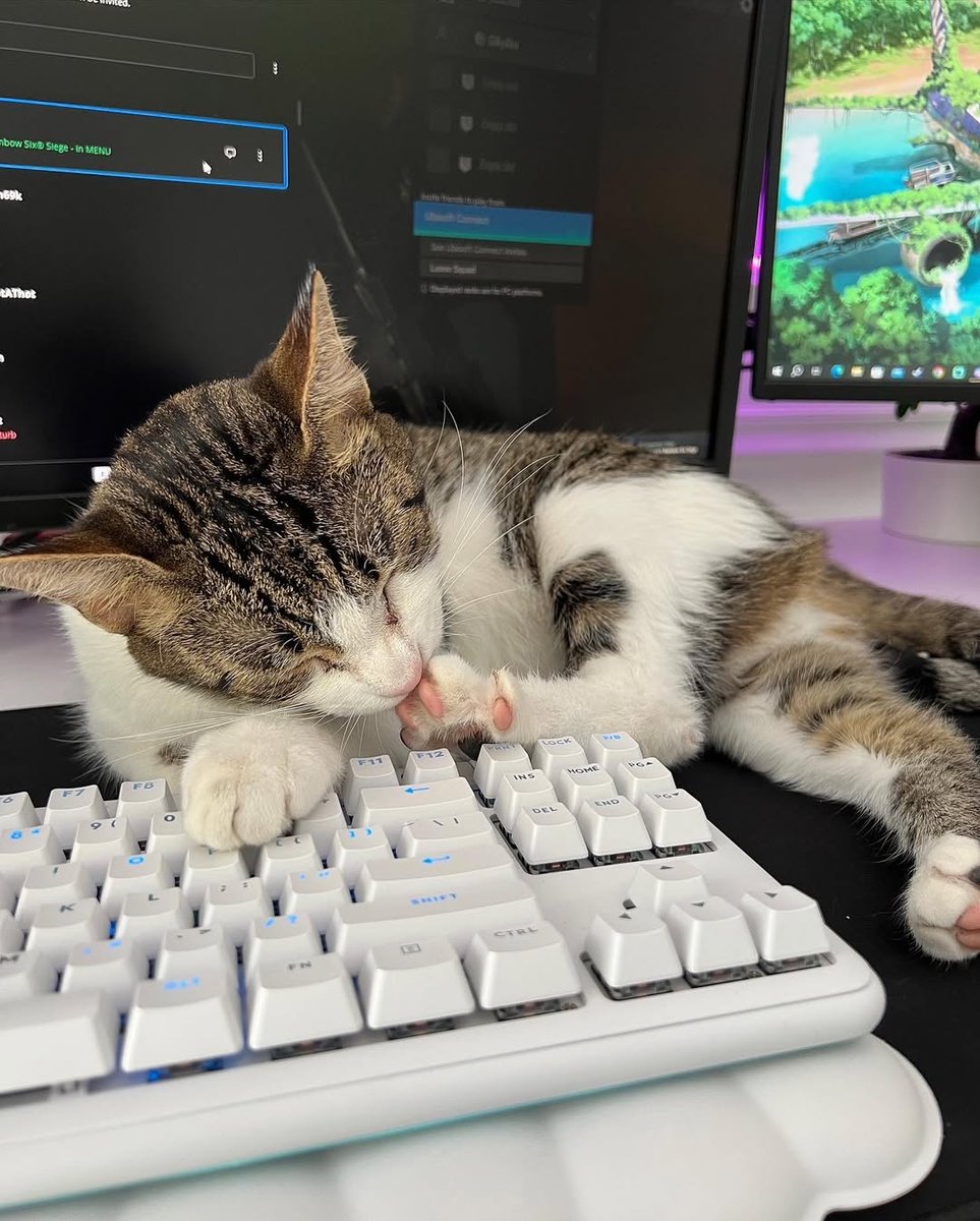 Peachtoot🍑 tweet media