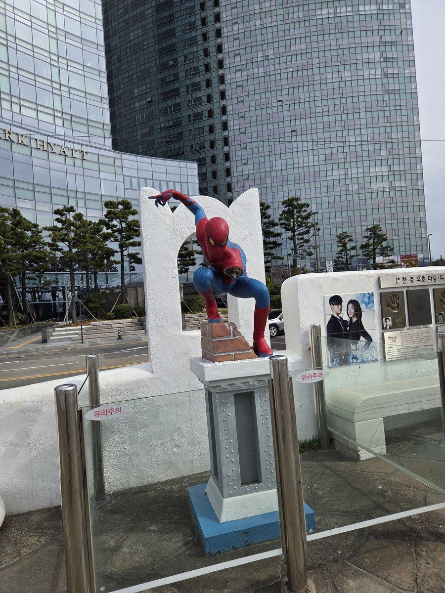 유세은 tweet media