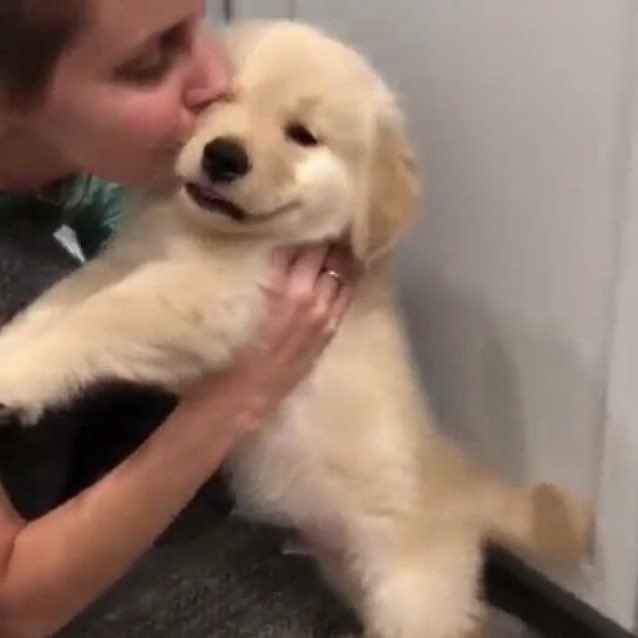 qt. ⛅️🚌🖍️ tweet media