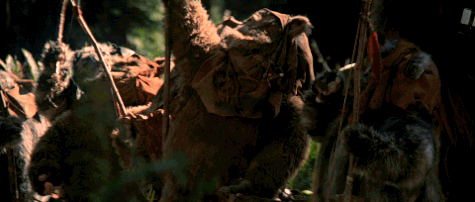 DP Cummerbund tweet media