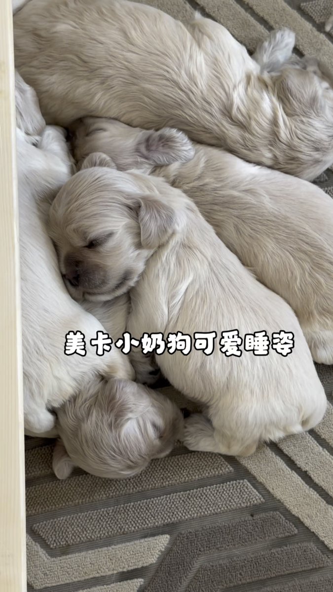 Faith Green tweet media