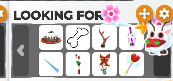 lunatica🐻 tweet media