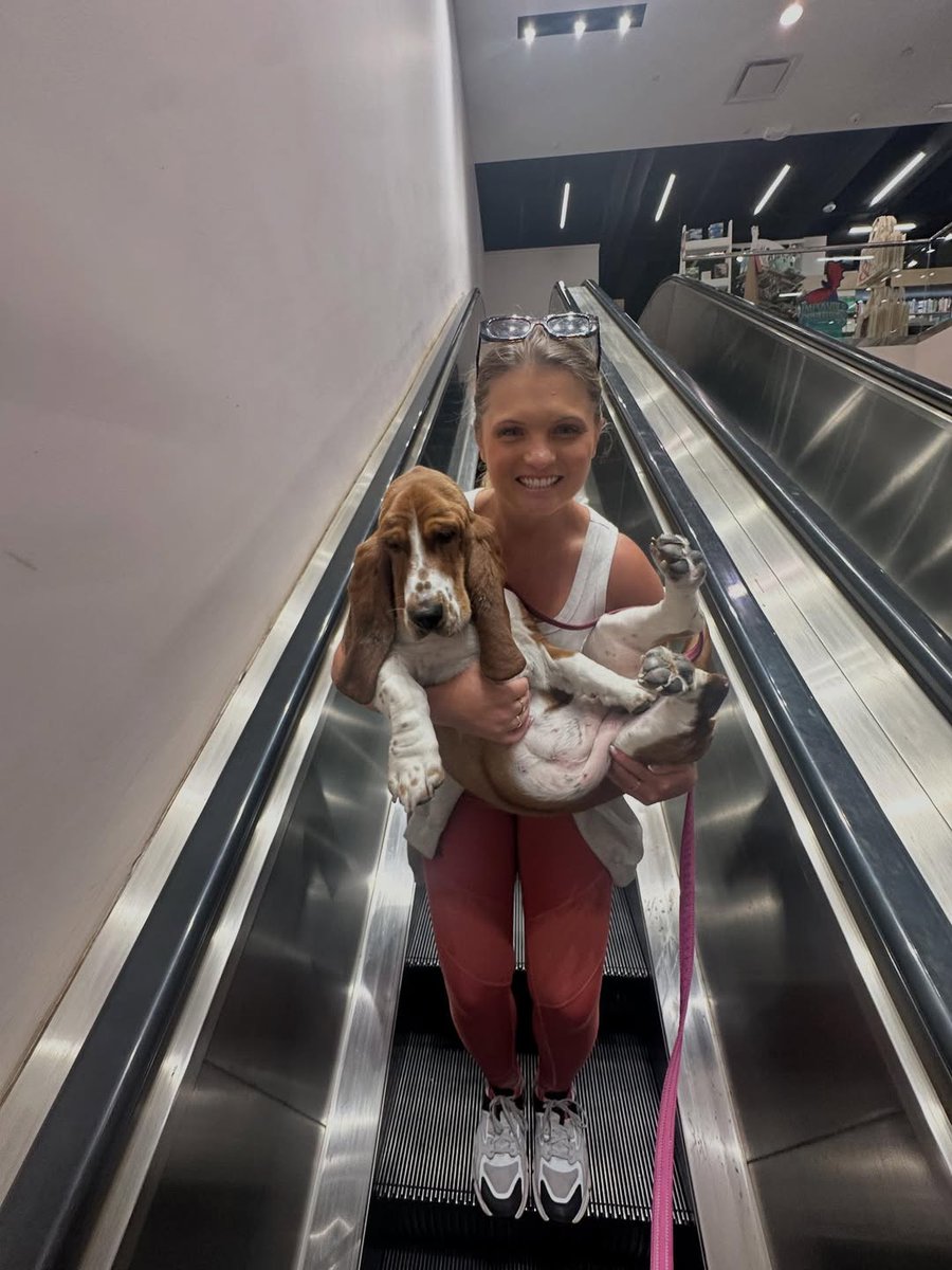 Carlos Merritte tweet media