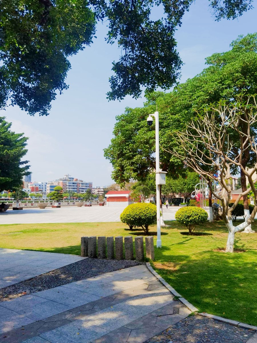 Shannon Jackson tweet media