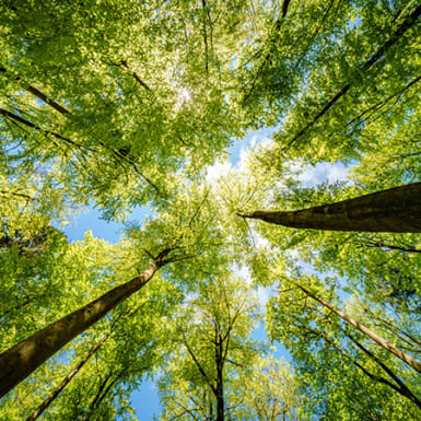 jules_tuyizere's tweet photo. Forests feed communities, store carbon, and support biodiversity.
Losing them means losing balance.
Let’s conserve, restore, and sustain 🌿 #InternationalDayOfForests
#Forestislife https://t.co/la5GBNq2qZ