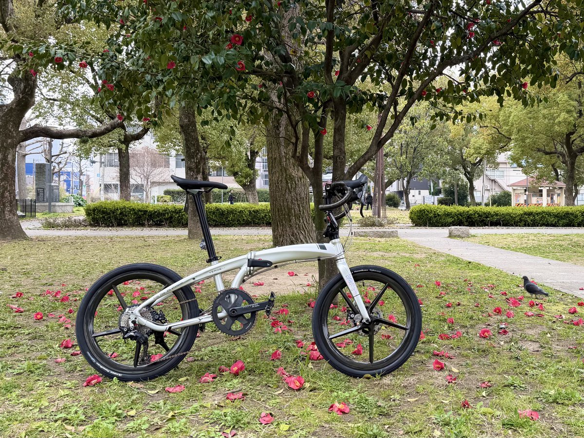 kazu_papan's tweet image. ハンドル調整完了！

以前より大分ポジションが良くなった👌
次バーテープ 交換する時はショートリーチからドロハン変更するのもいいなぁ(σ･ω･)σ 

それにしてもvergeカッケェーなぁと自己満🤭笑
#tern #verge