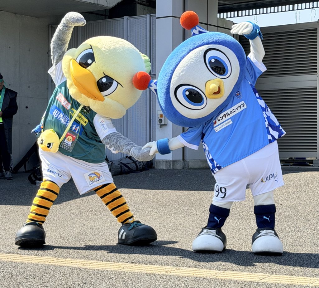 ゆっちゃ tweet media