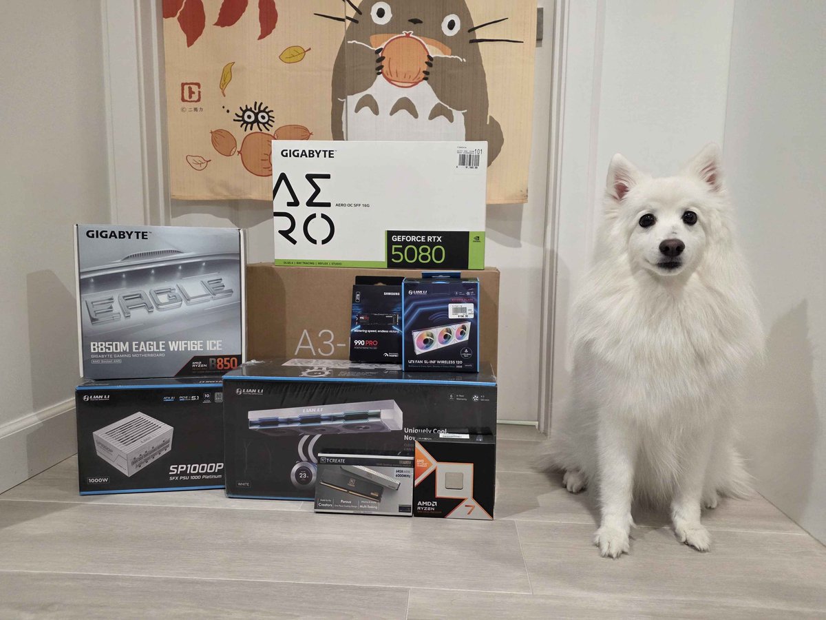 Mimi Scribbles tweet media