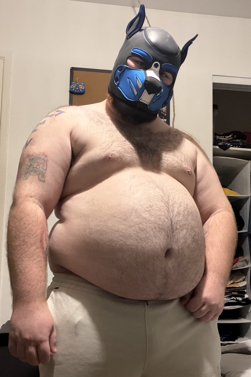 KodyBear tweet media