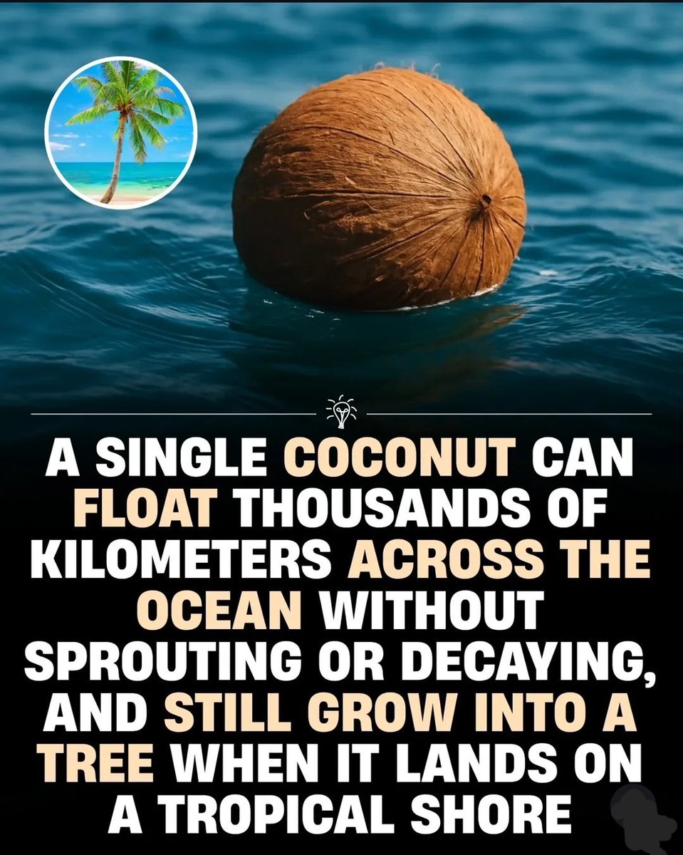 World's Amazing Things tweet media