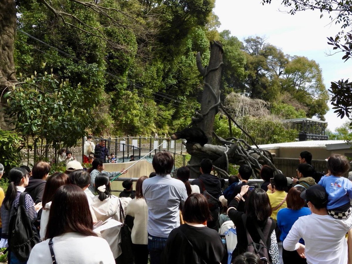 福岡市動物園 tweet media
