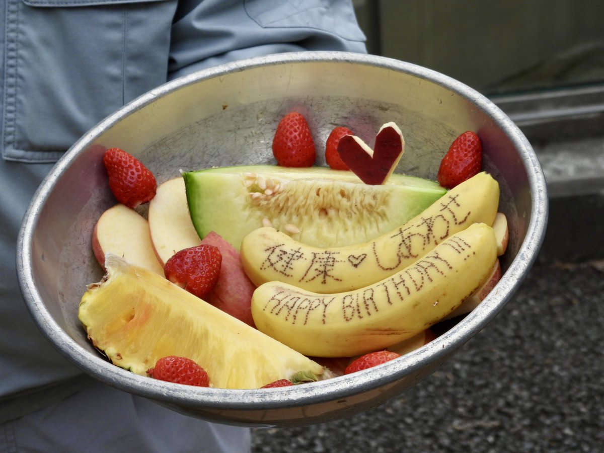 福岡市動物園 tweet media