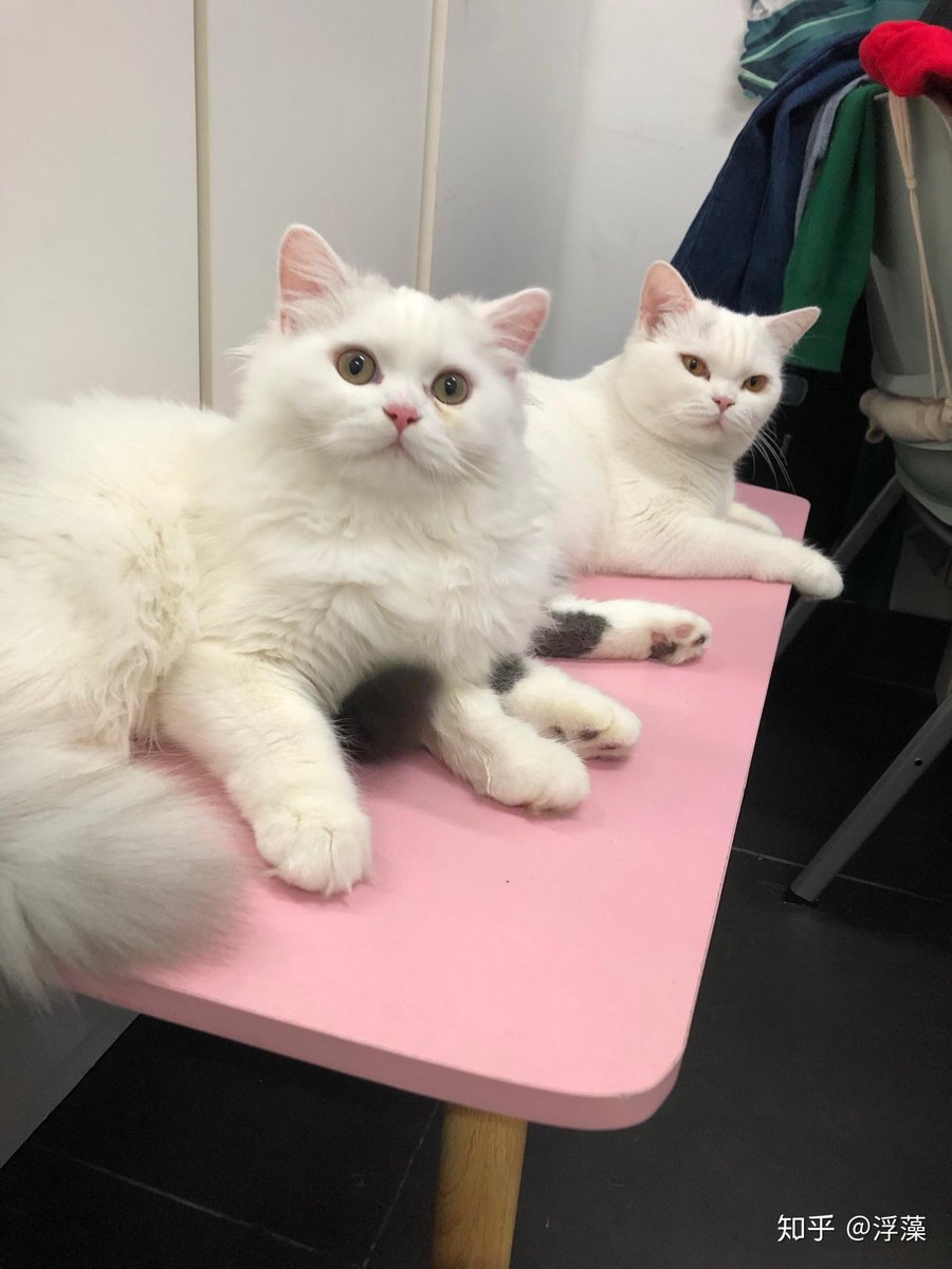 Beverly Gulston tweet media