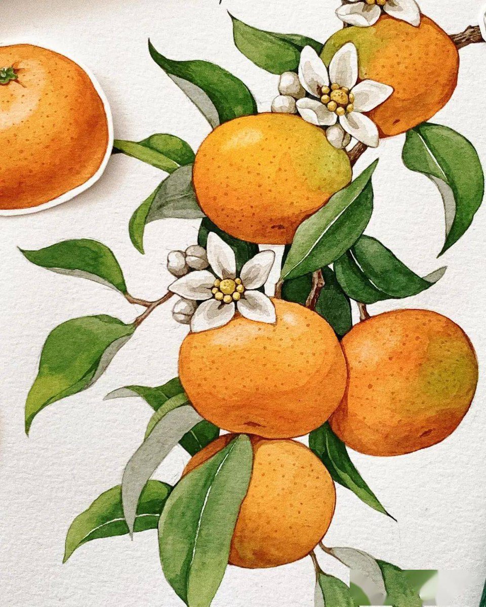 Michelle Murphy tweet media