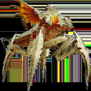 Kodiak 🏳️⚧️ tweet media