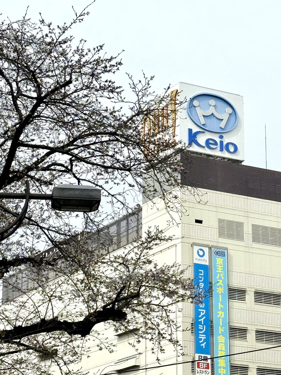 Takesen - 武仙＠空間系 tweet media