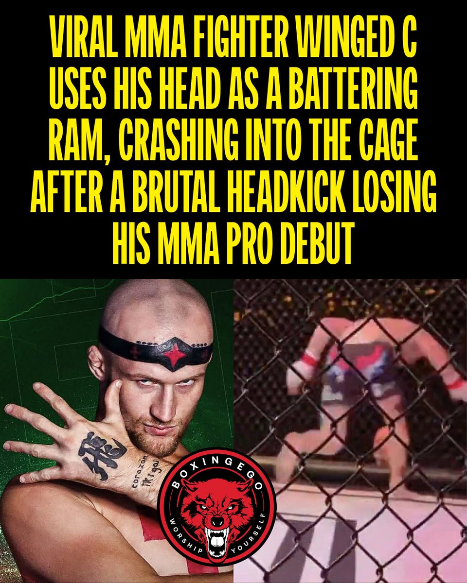 BOXINGEGO tweet media