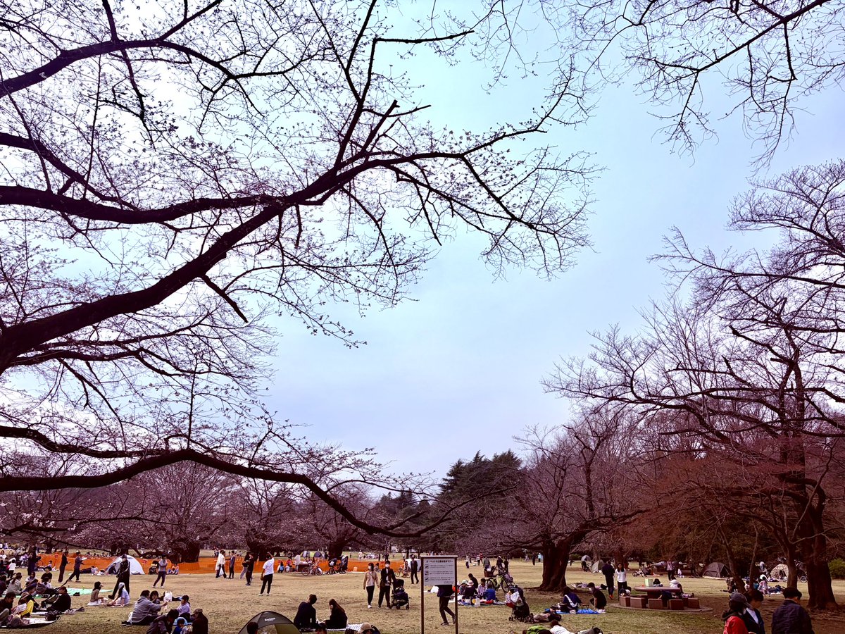 somimimimi's tweet photo. #_公園 https://t.co/CUo2BLyLFU