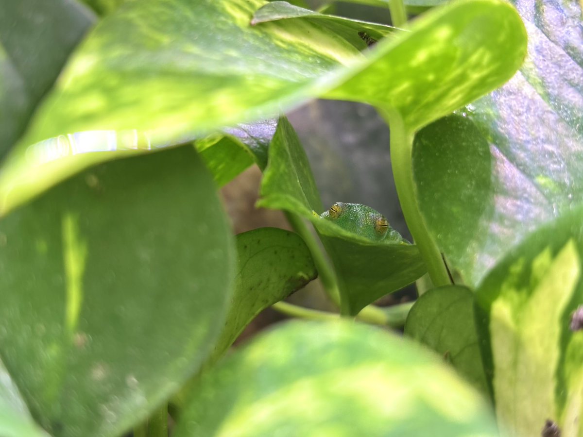 CANDLE 横浜店 tweet media