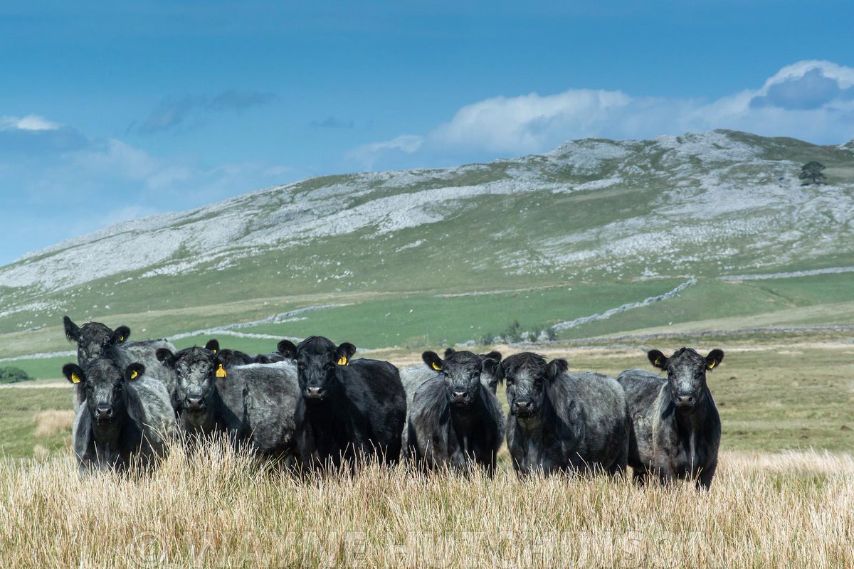 Sama Hoole tweet media