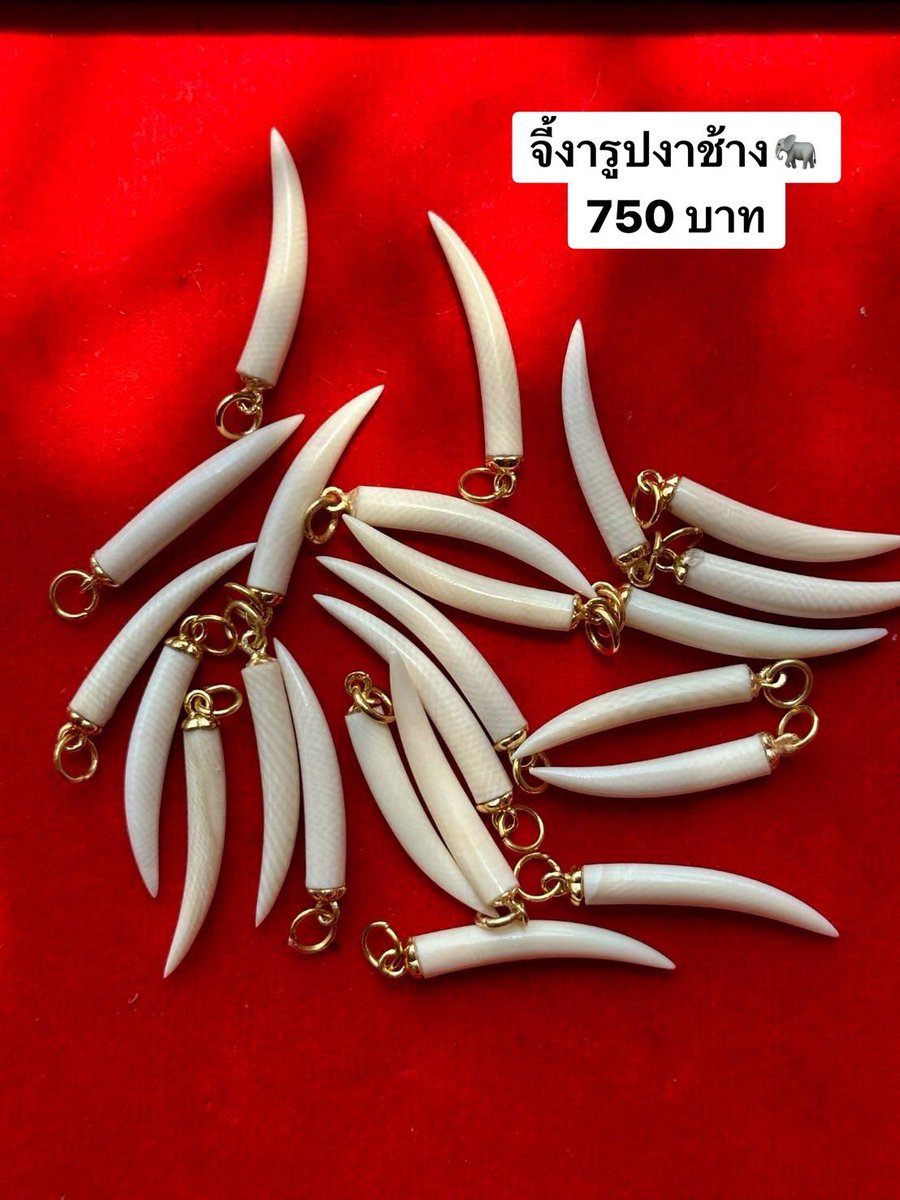 น้องช้างFamily🐘🐘🐘 tweet media