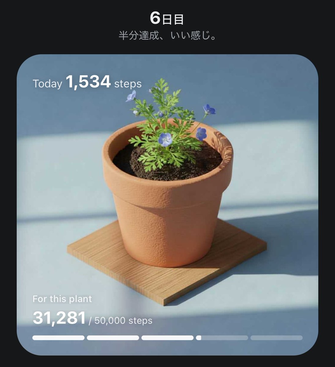 パラッパ tweet media