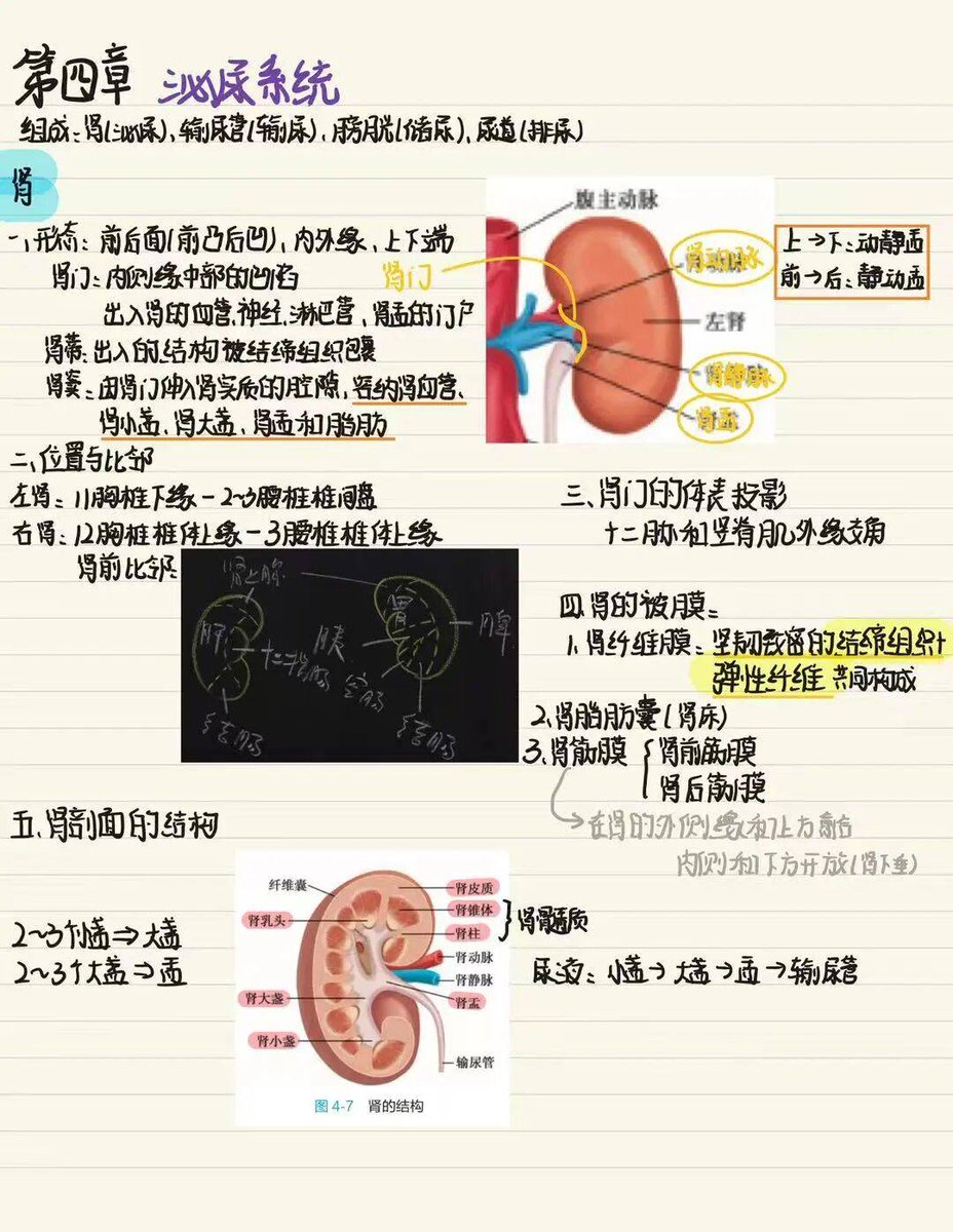 Tom Weber tweet media