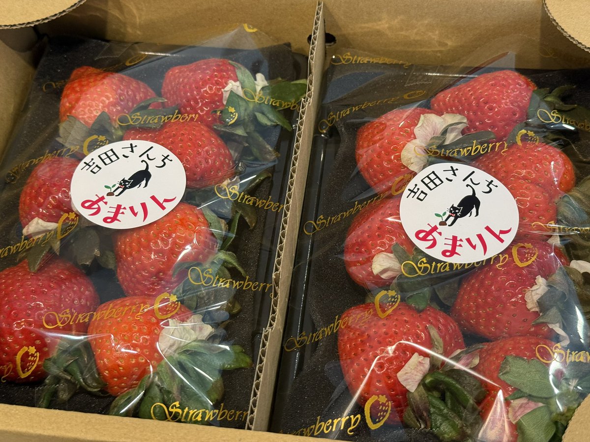 青髪のテツ🪼八百屋歴15年 tweet media