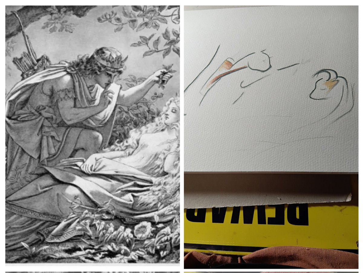 Madame Wombat #AlwaysWasAlwaysWillBe ⚫️🟡🔴🇵🇸🇺 tweet media