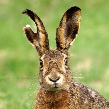 Kyray 🇵🇭 | DISPATCH ERA tweet media