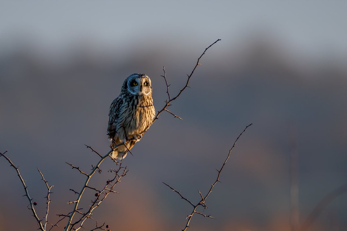 𝖢𝗅𝗈𝗌𝖾𝟤𝖱𝗂𝗏𝖾𝗋𝗌 tweet media