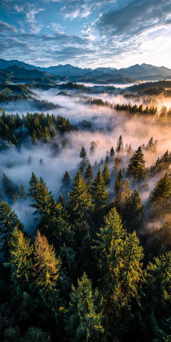 JulieParker144's tweet image. 2 Timothy 2:1 Thou therefore, my son, be strong in the grace that is in Christ Jesus.   

2) And the things that thou hast heard of me among many witnesses, the same commit thou to faithful men, who shall be able to #teach others also.

3 Thou therefore endure hardness, as a