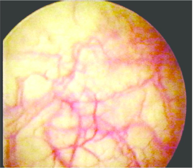 Robert Kalyesubula,MD, FISN(USA), PhD-FRCP(London) tweet media