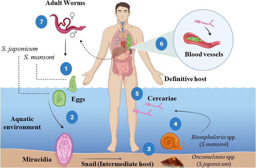 Robert Kalyesubula,MD, FISN(USA), PhD-FRCP(London) tweet media