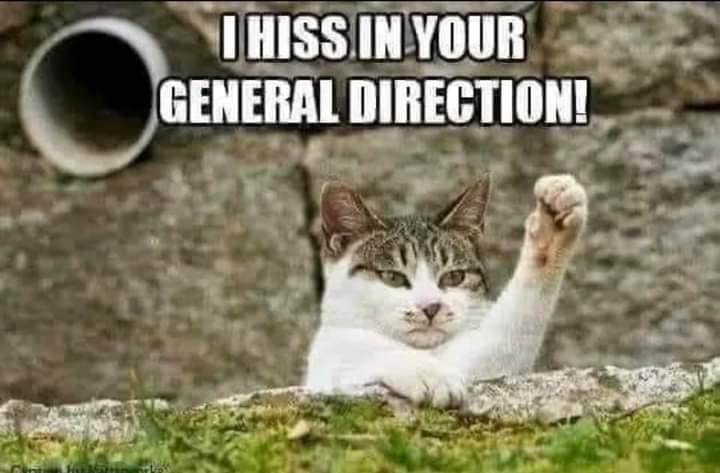 Caffeine American tweet media